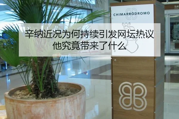 辛纳近况为何持续引发网坛热议 他究竟带来了什么